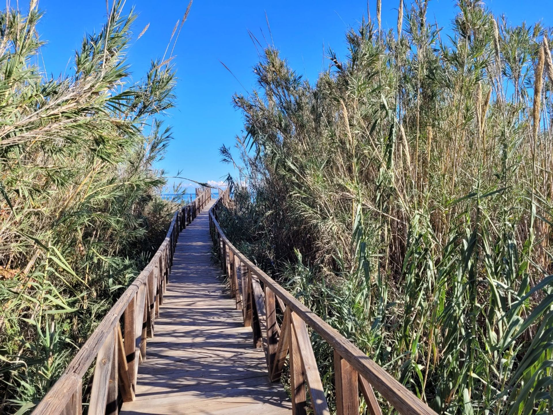 Eigentumswohnung im Guardamar del Segura, Valencian Community 12843537