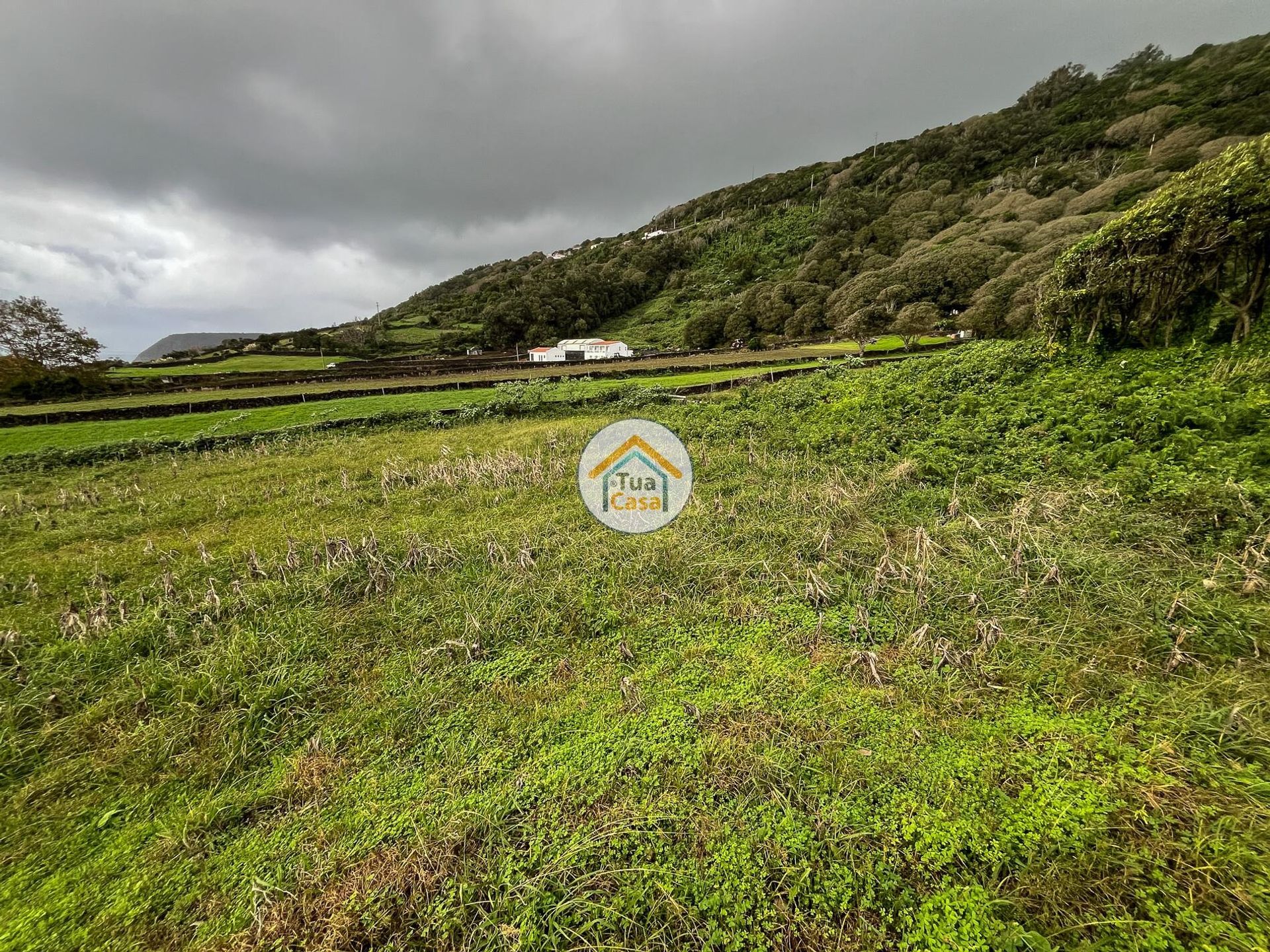 土地 在 Santo Amaro, Azores 12843586