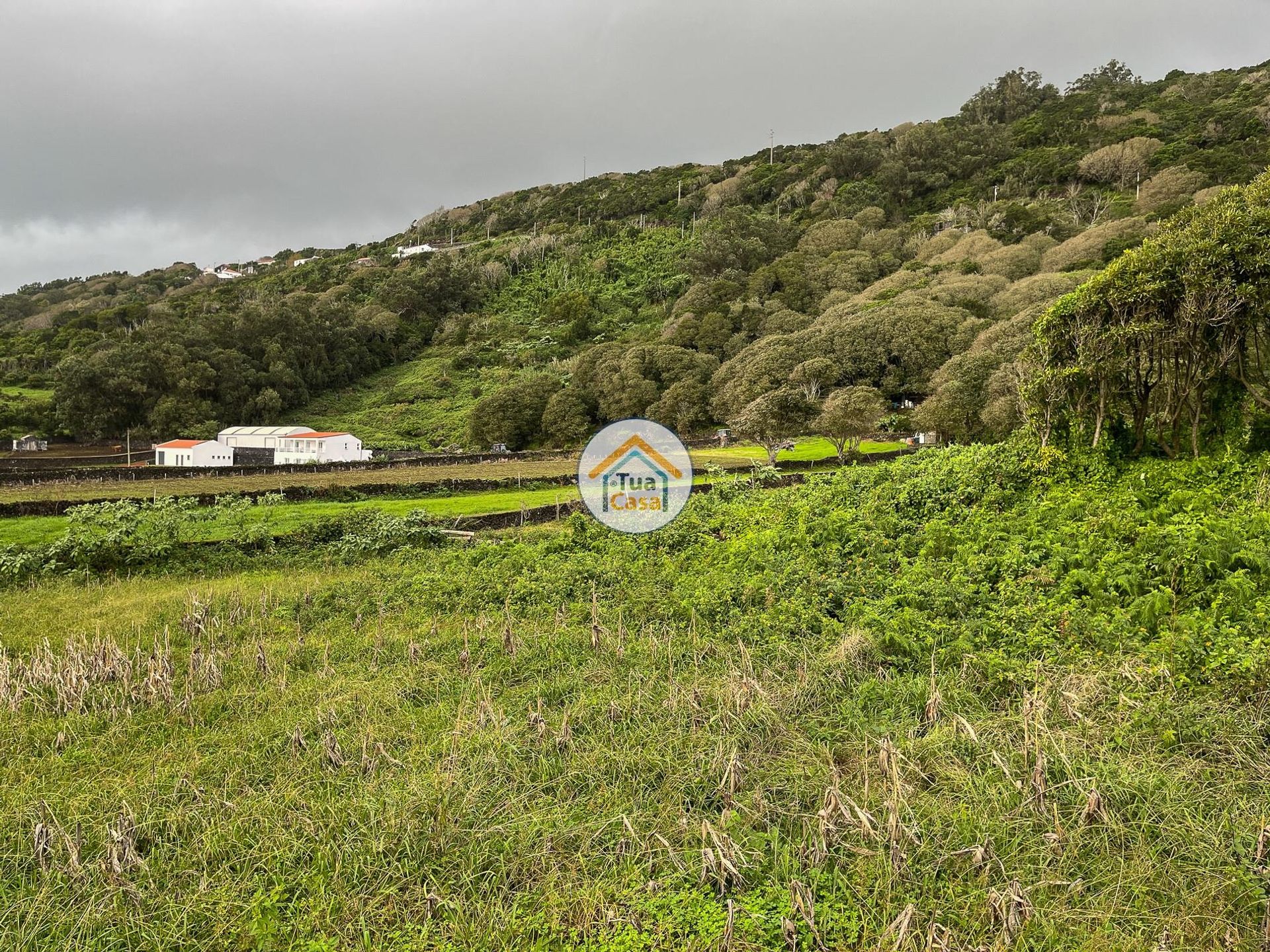 土地 在 Santo Amaro, Azores 12843586