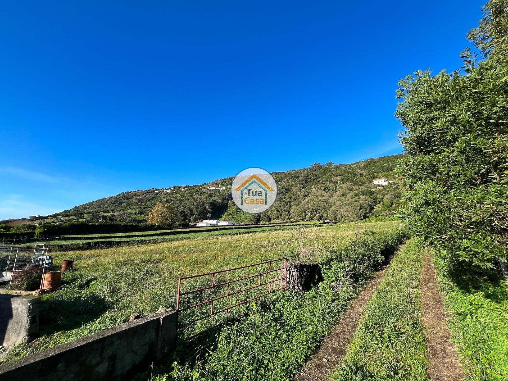 Tanah di Vela, Azores 12843586