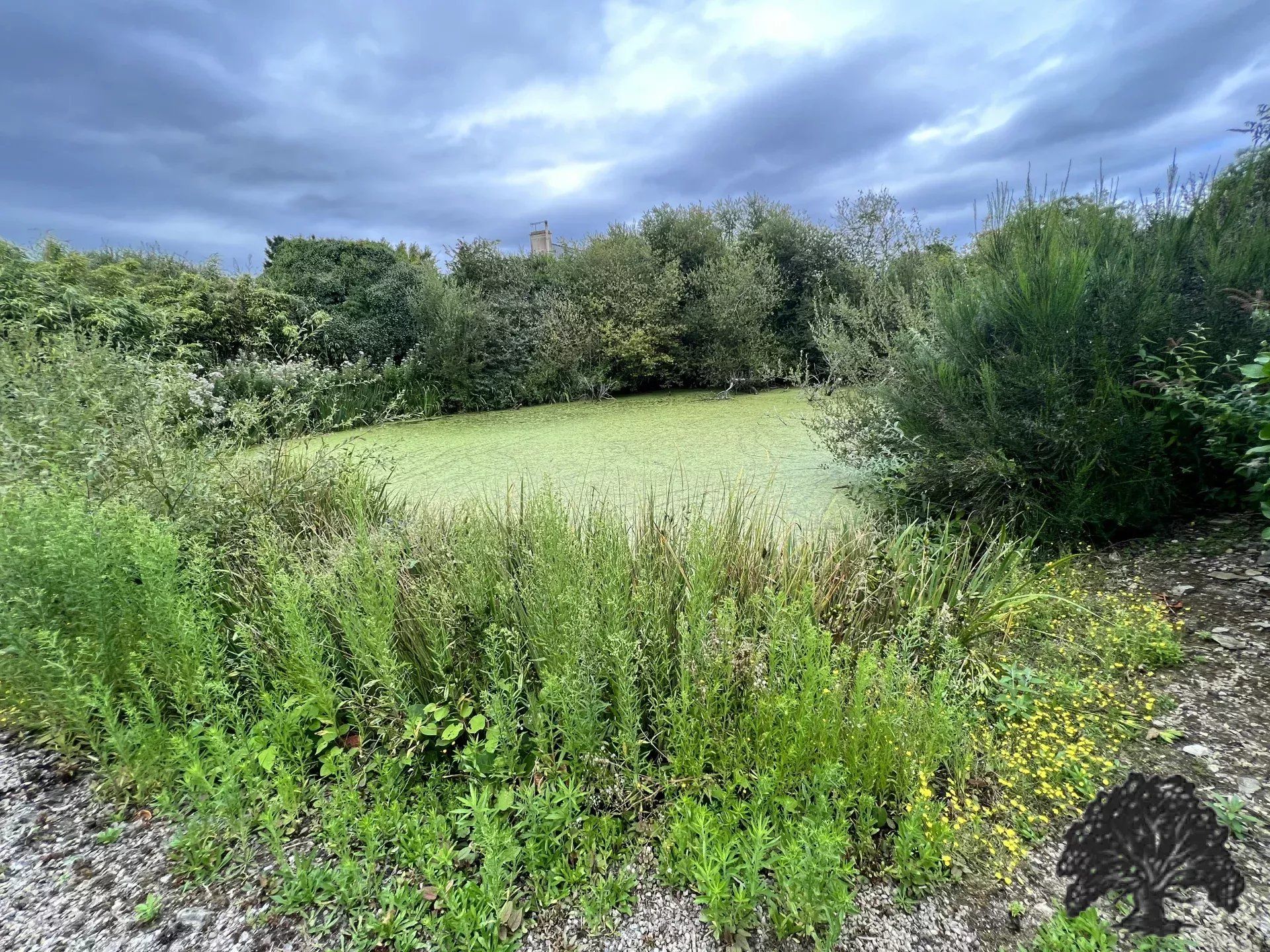 rumah dalam Saint-Cast-le-Guildo, Côtes-d'Armor 12844000