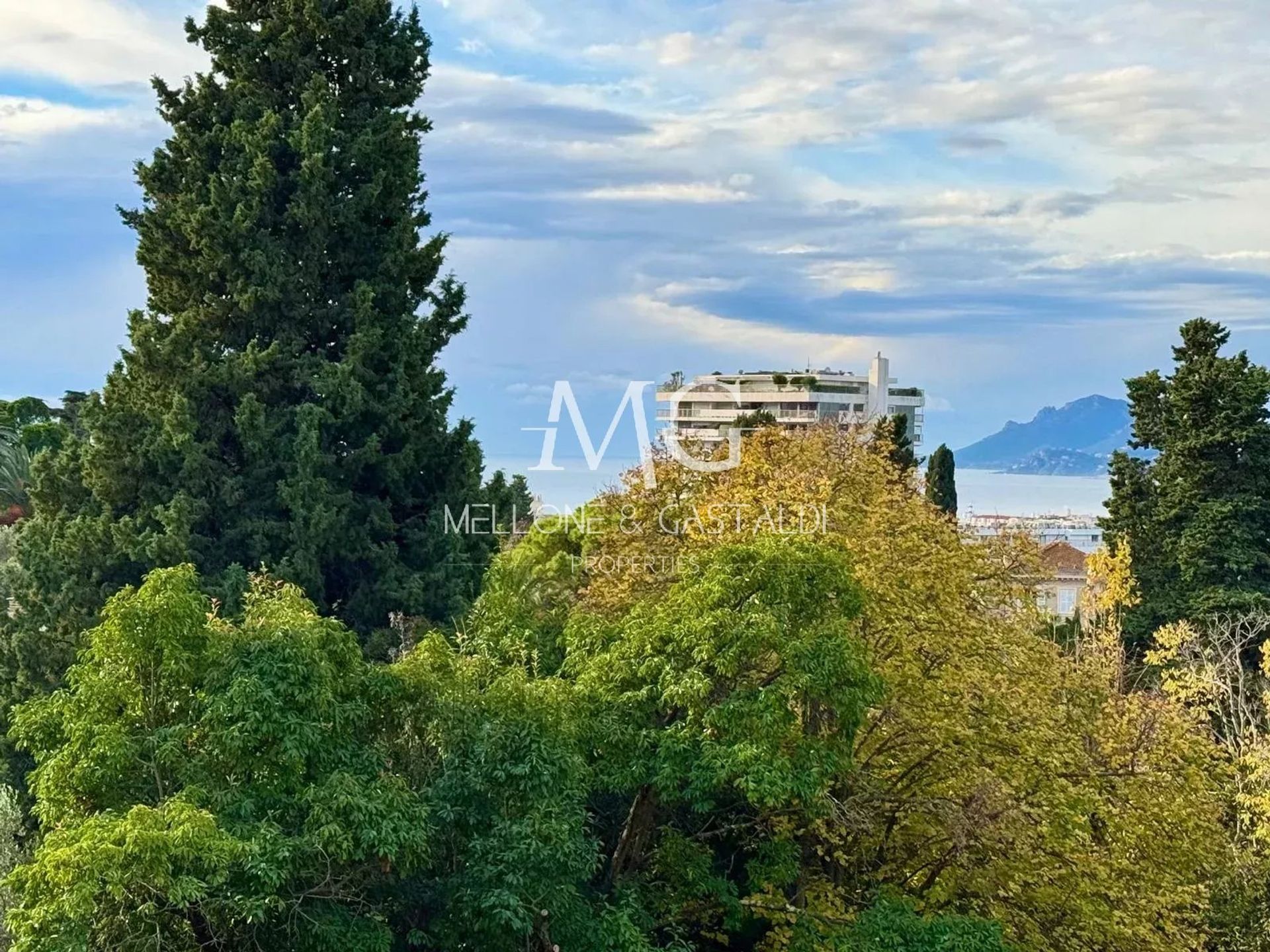 Condominium in Cannes, Alpes-Maritimes 12844002