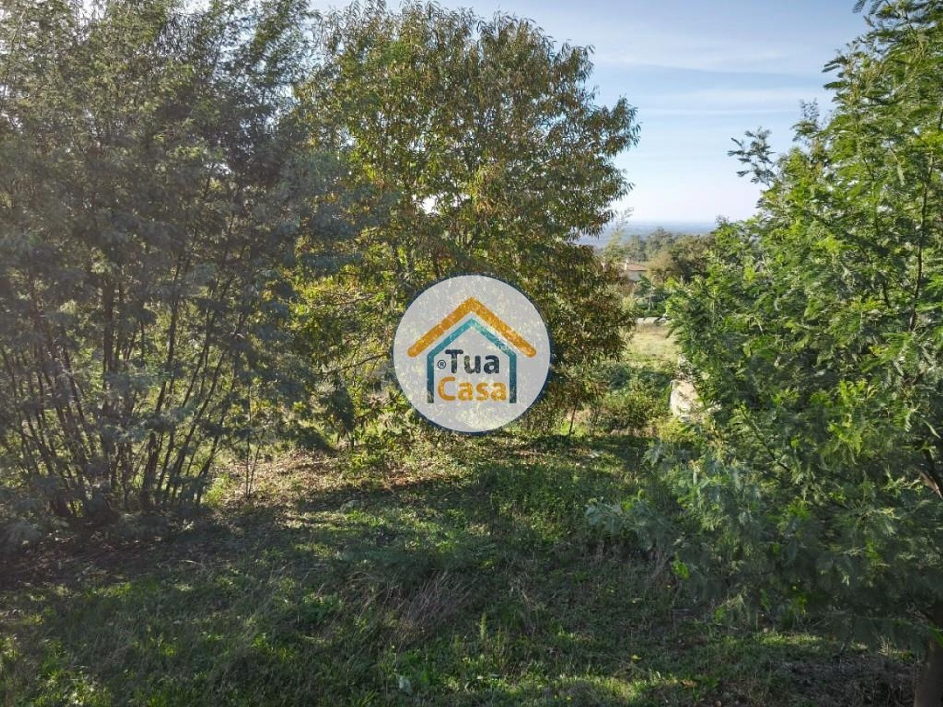 Land im Pinheiro da Bemposta, Aveiro 12844202