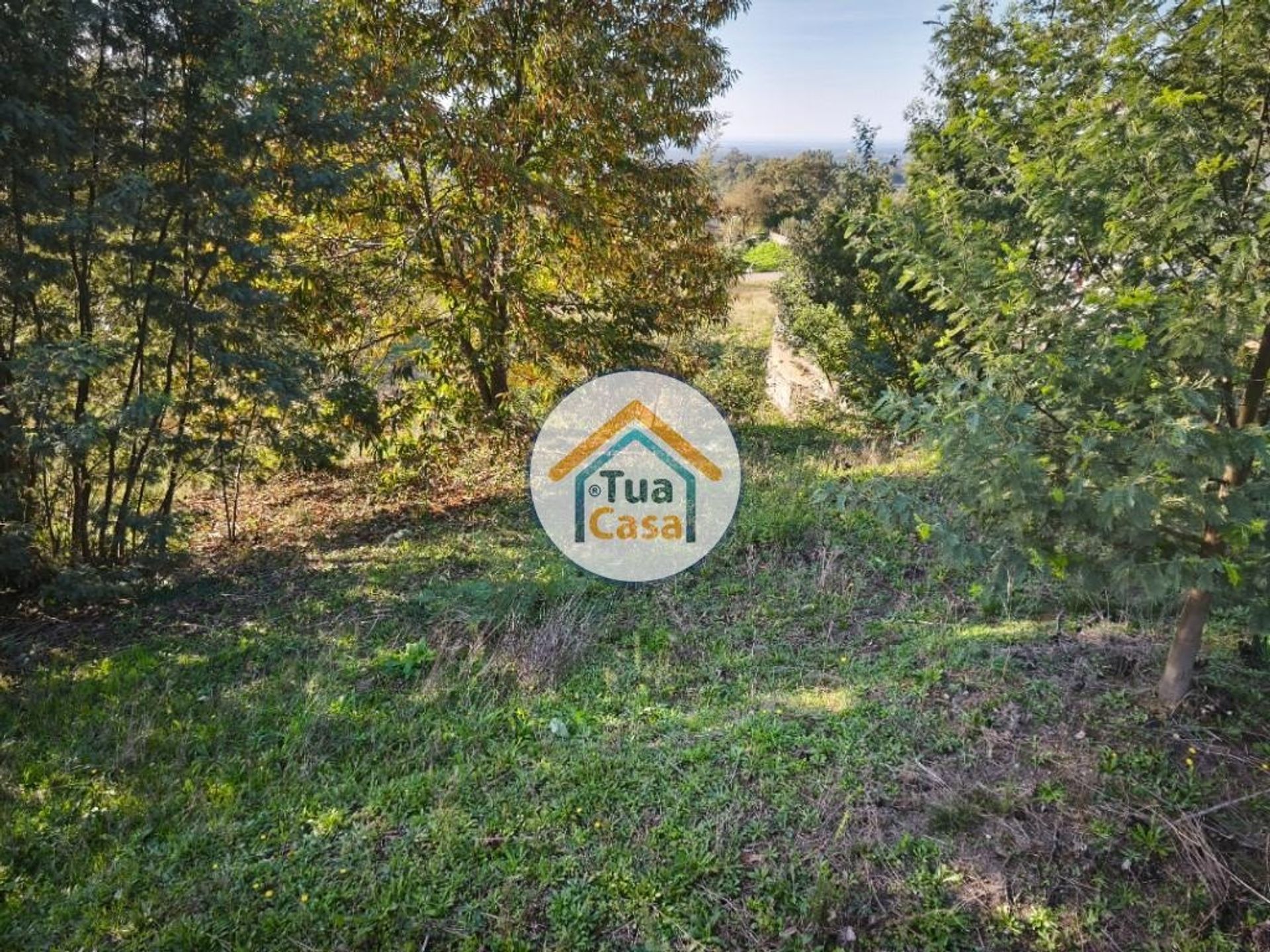 Land im Pinheiro da Bemposta, Aveiro 12844202