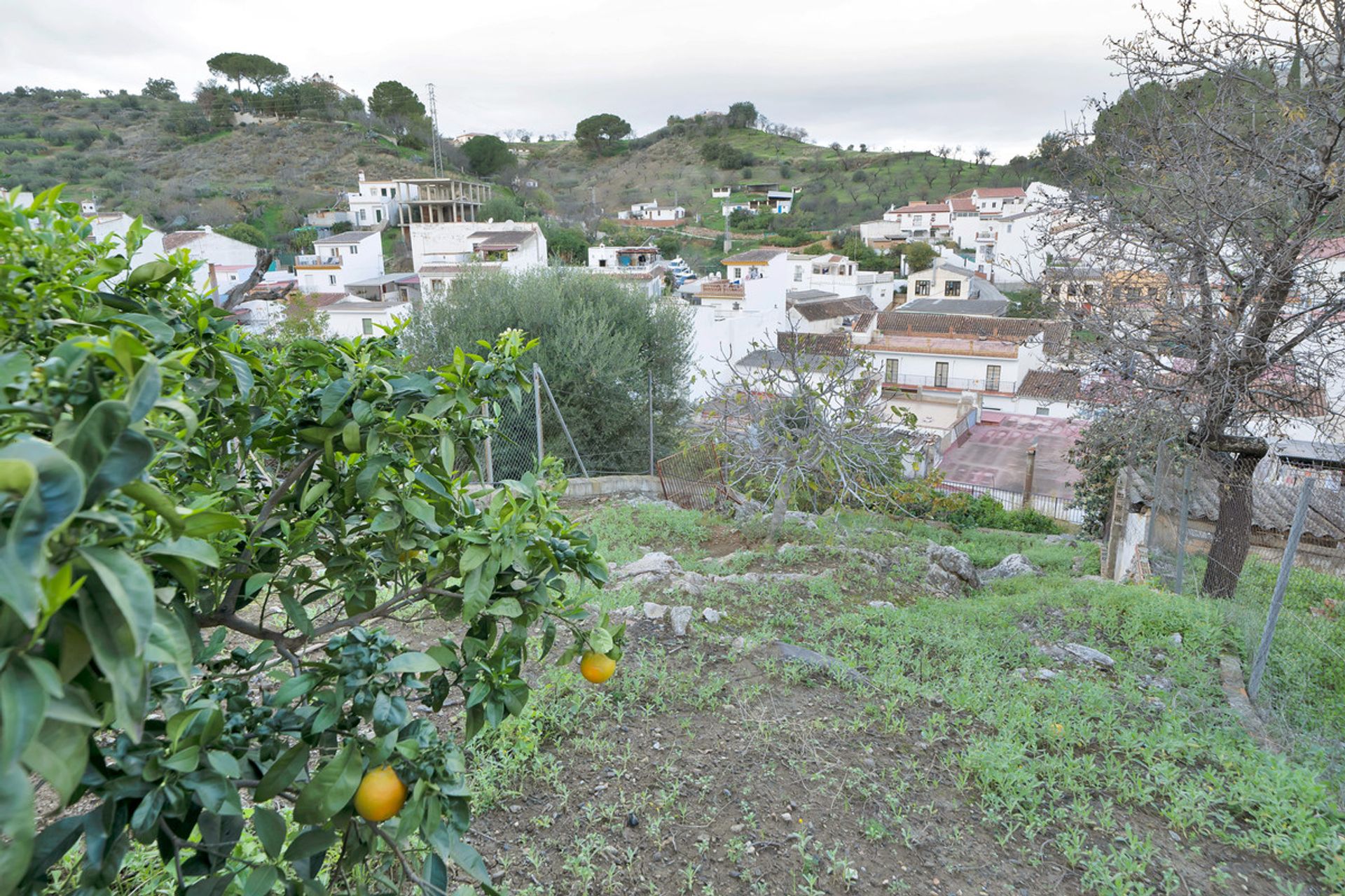 Jälleenmyynti sisään Monda, Andalusia 12844730