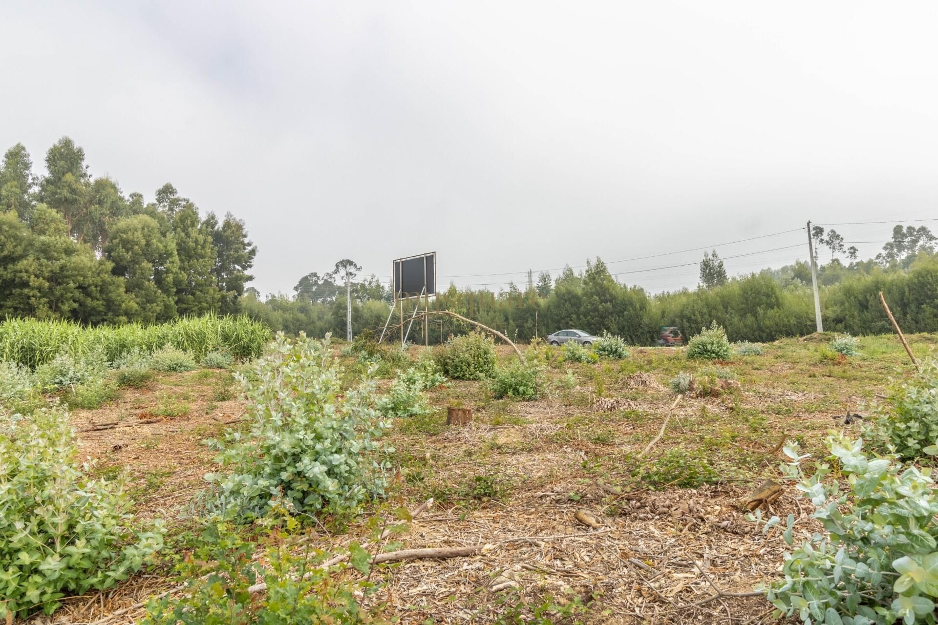 Terre dans Sao Joao de Ver, Aveiro 12844789