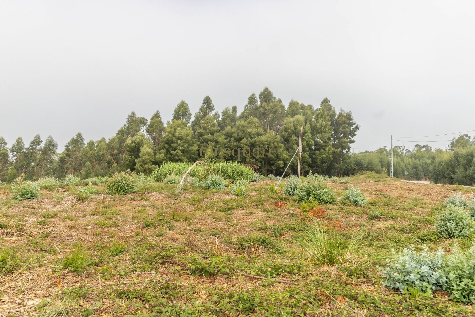 Land im Sao Joao de Ver, Aveiro 12844789