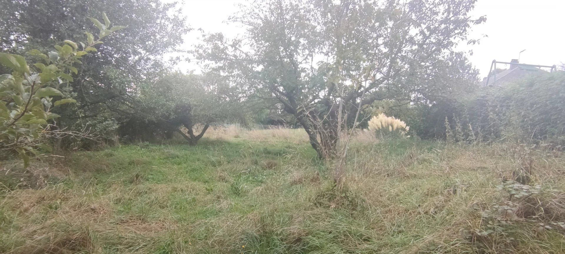 Terra no Saint-Genest-Lerpt, Auvérnia-Ródano-Alpes 12845132