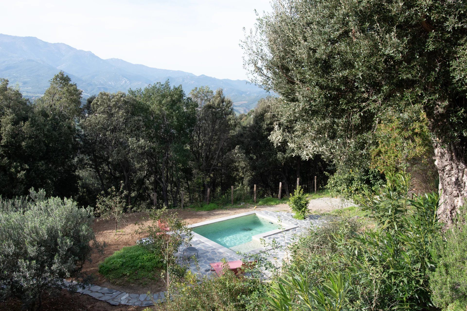 House in Poggio-d'Oletta, Haute-Corse 12845146