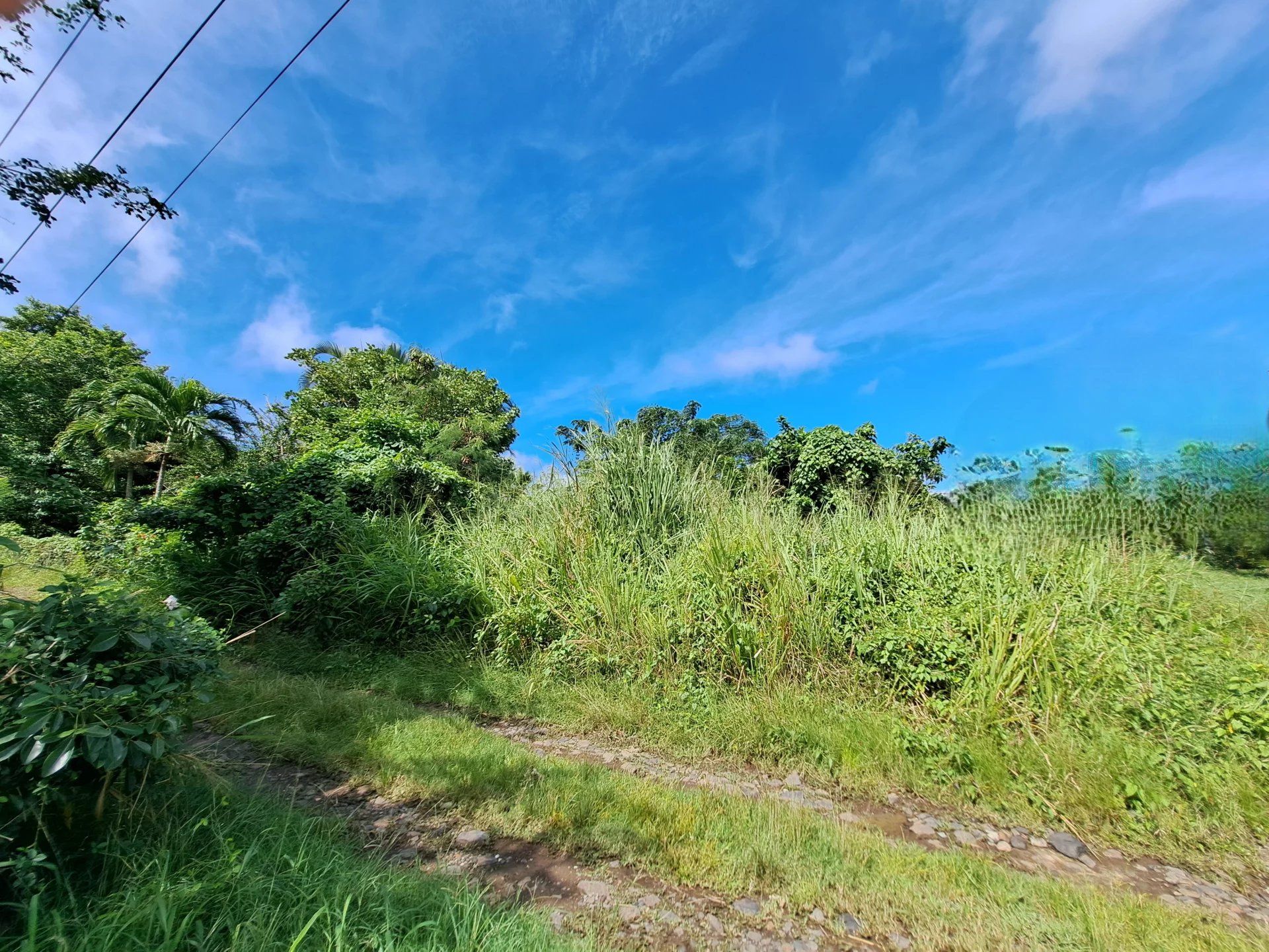 Земля в Les Trois-Îlets, Martinique 12845212