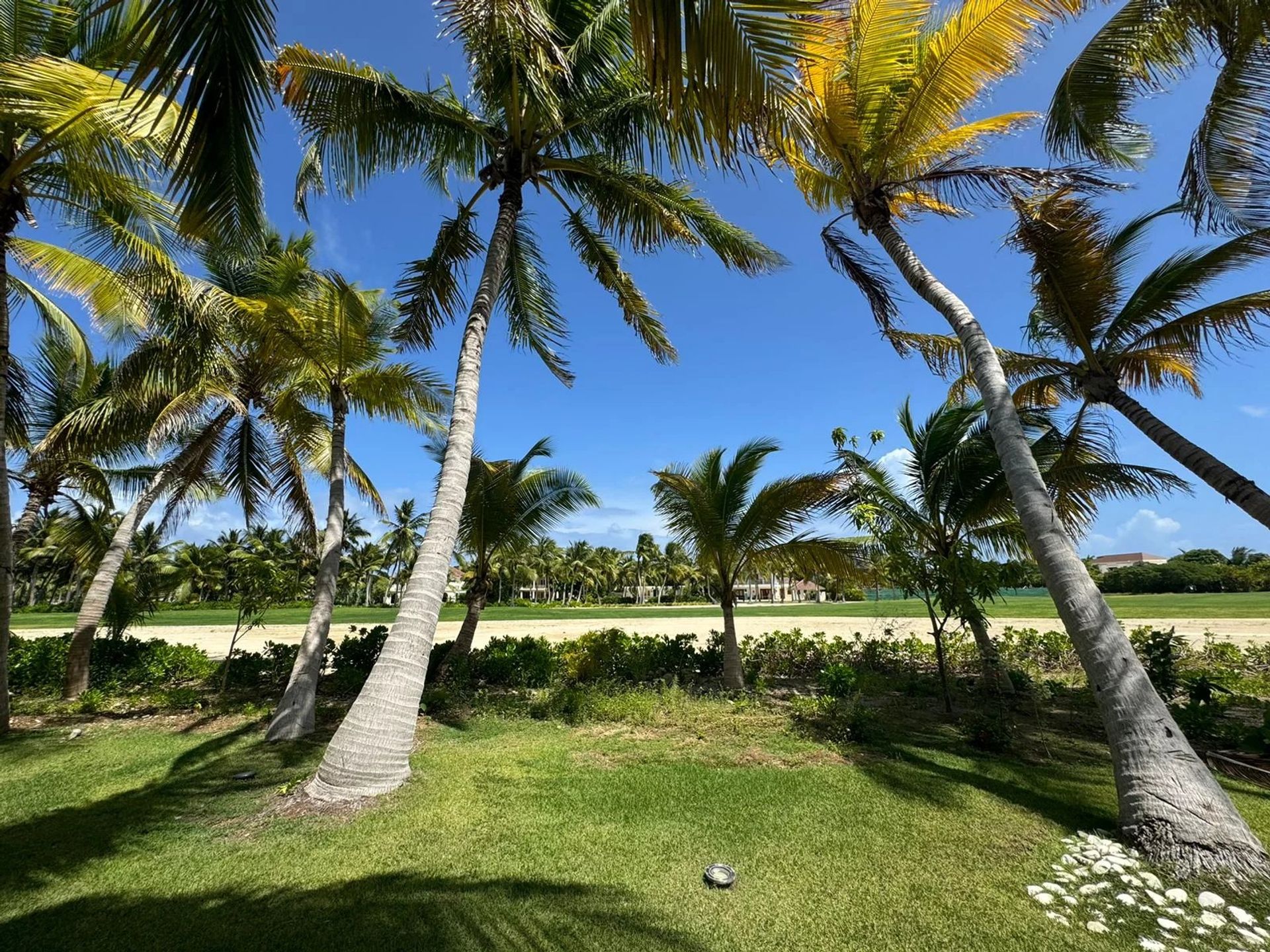 Будинок в Punta Cana, null 12845885