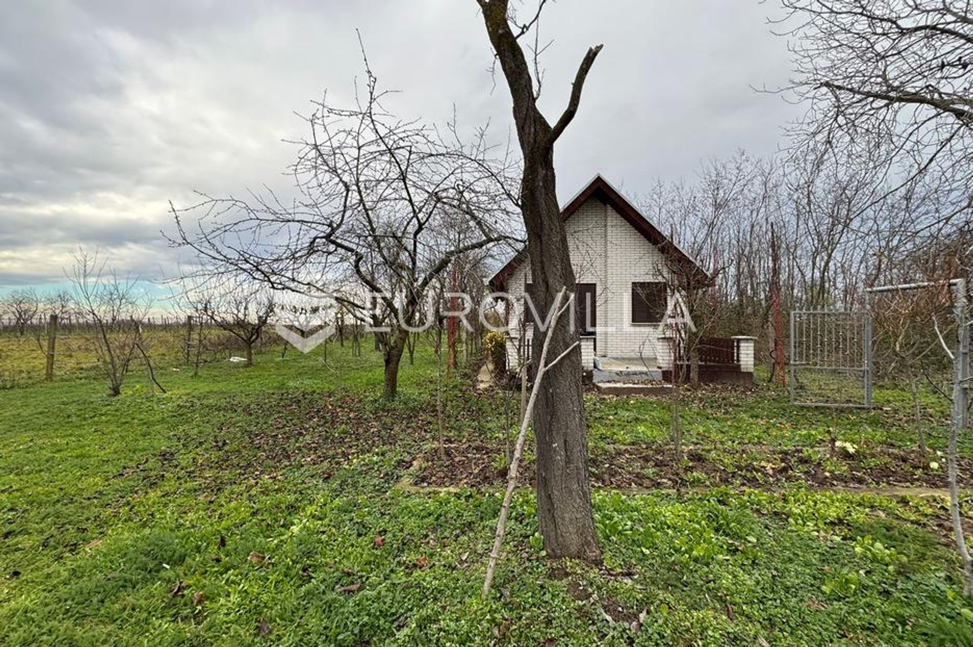 Haus im Budrovci, Osječko-baranjska županija 12846514