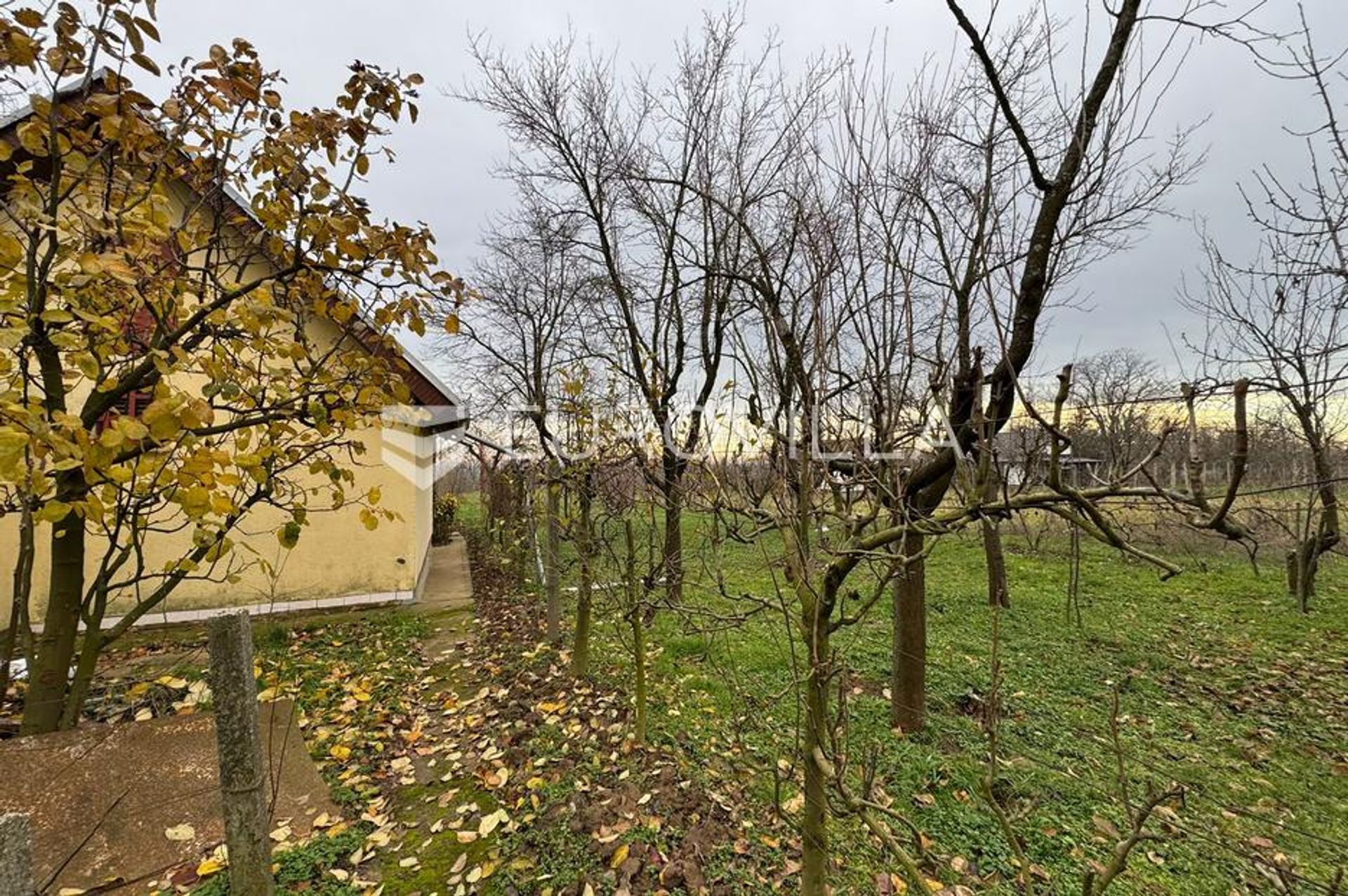 Haus im Budrovci, Osječko-baranjska županija 12846514