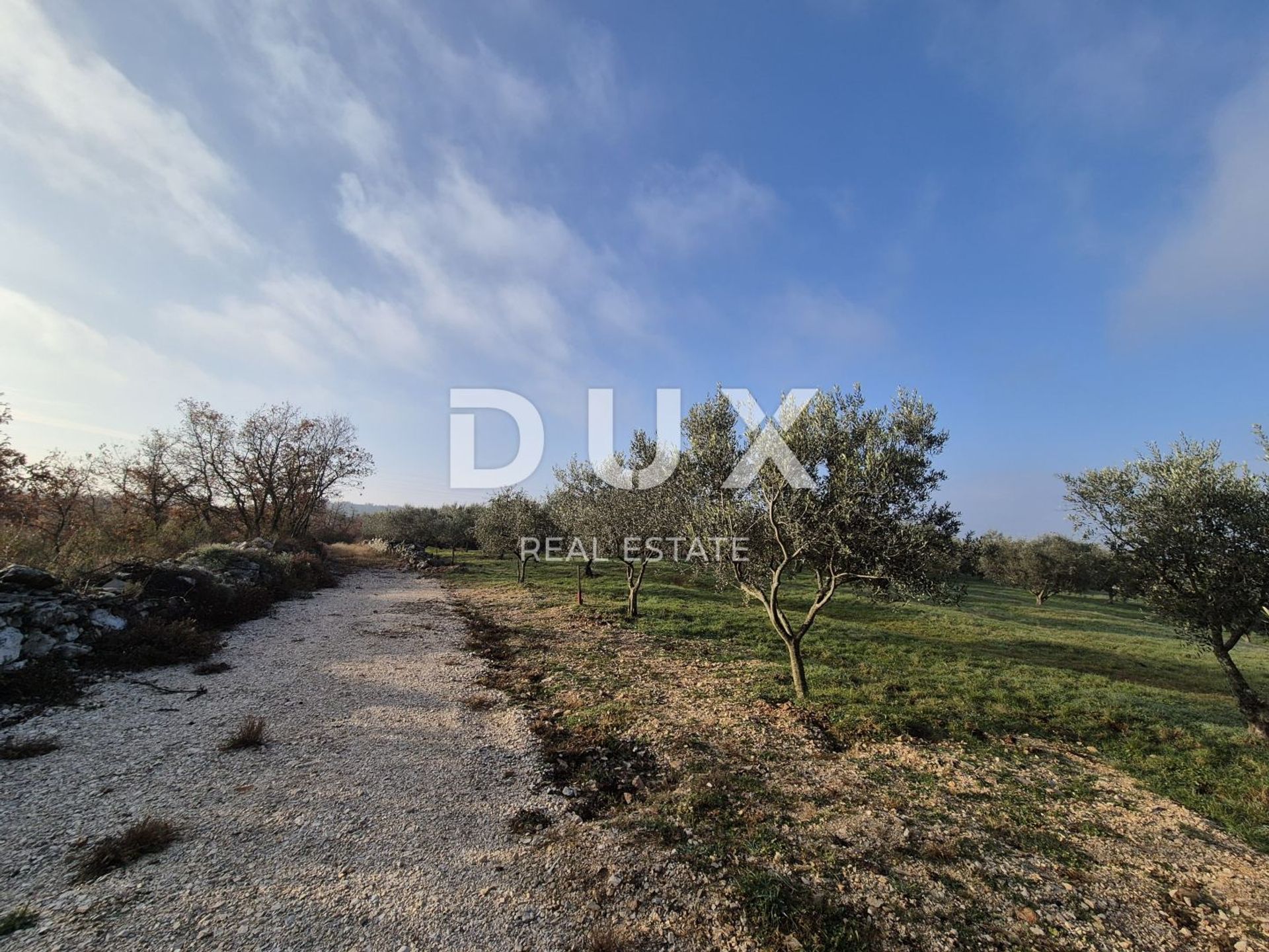 Land in Buje, Istria County 12846539