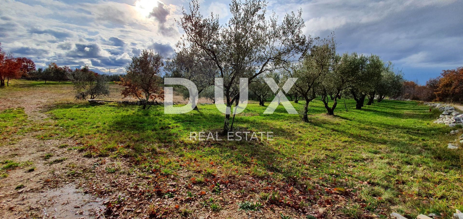 Land in Buje, Istria County 12846539