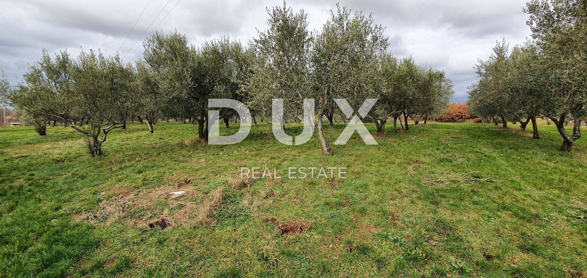 Land in Buje, Istria County 12846539