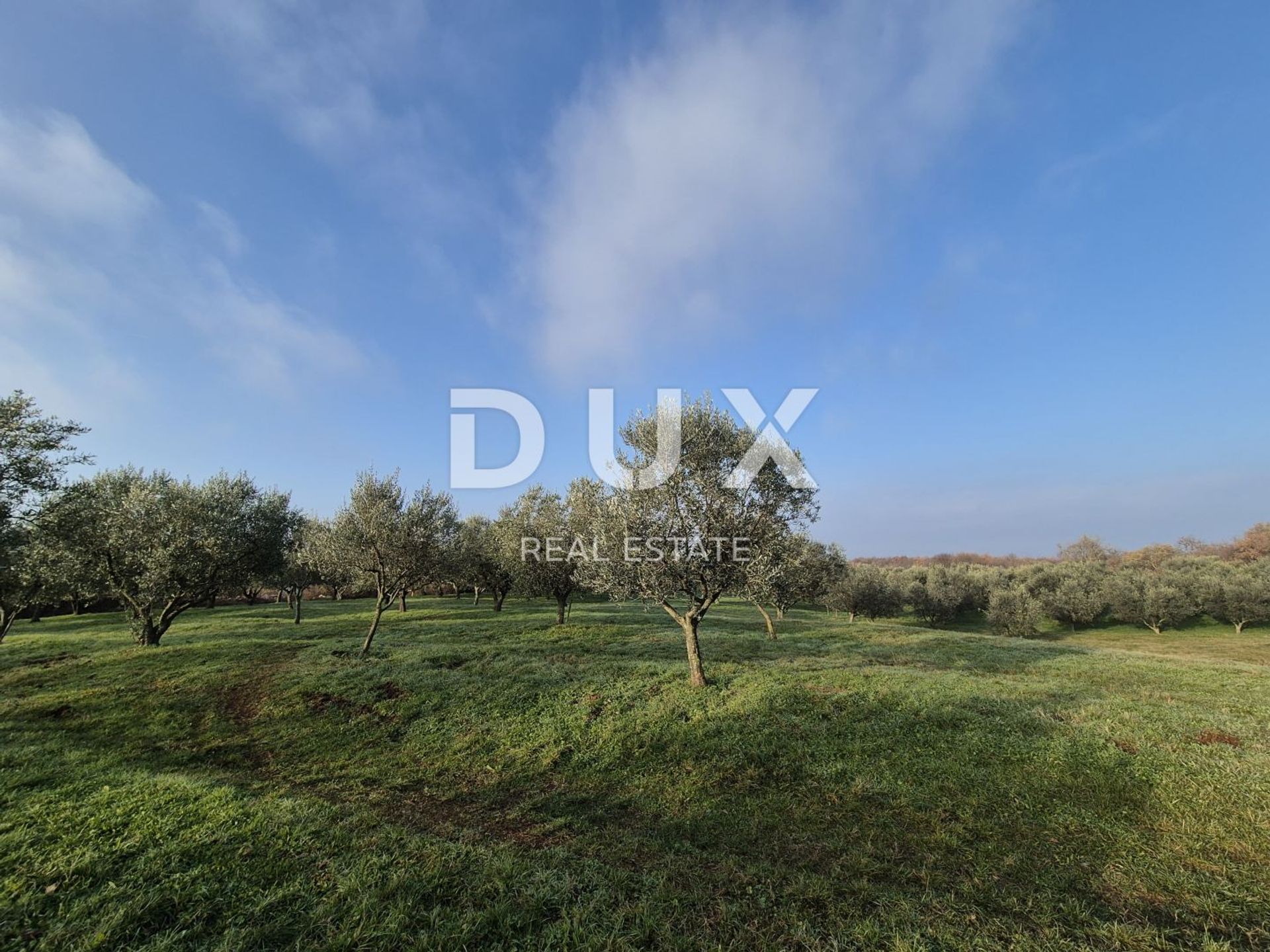 Land in Buje, Istria County 12846539