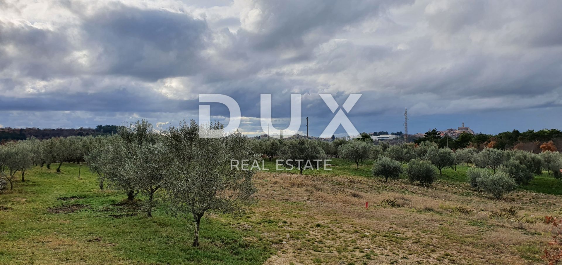 Land in Buje, Istria County 12846539