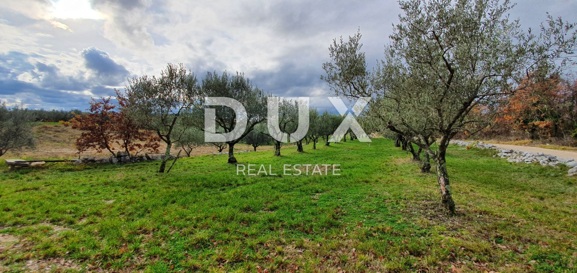 Land in Buje, Istria County 12846539