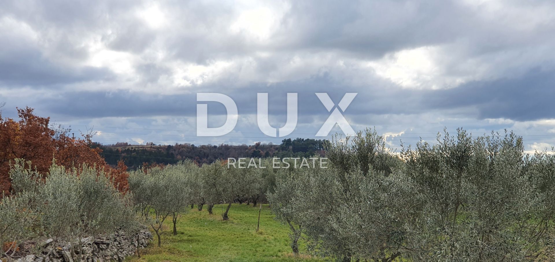 Land in Buje, Istria County 12846539