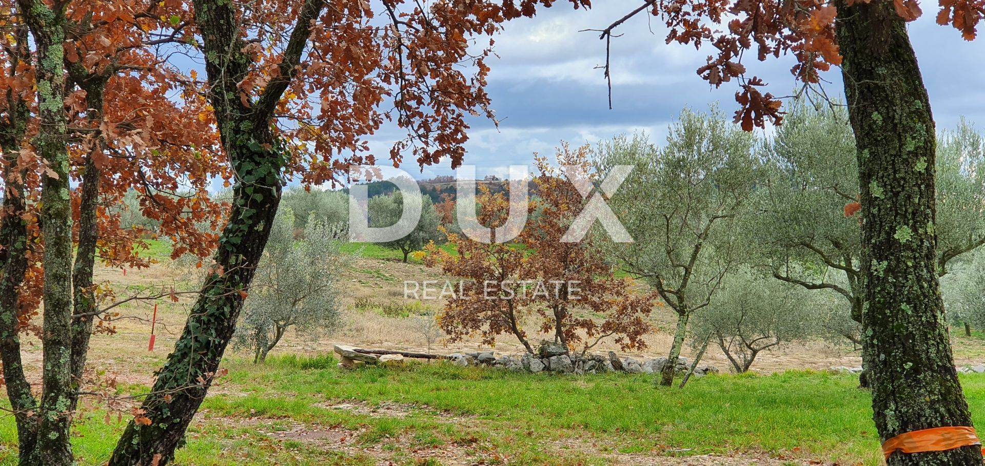 Land in Buje, Istria County 12846539