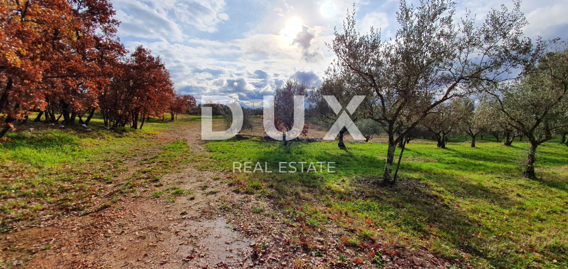 Land in Buje, Istria County 12846539