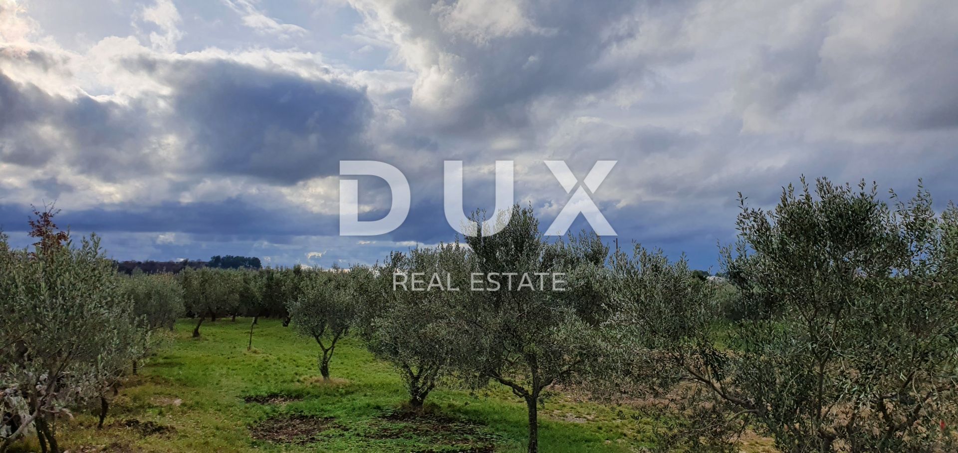 Land in Buje, Istria County 12846539