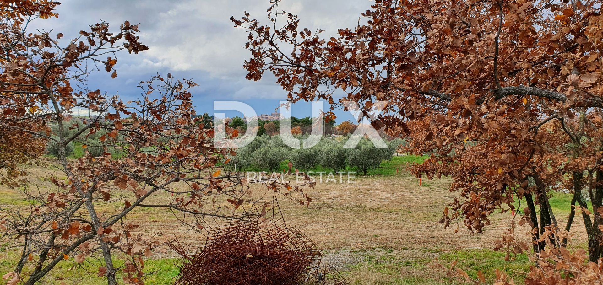 Land in Buje, Istria County 12846539