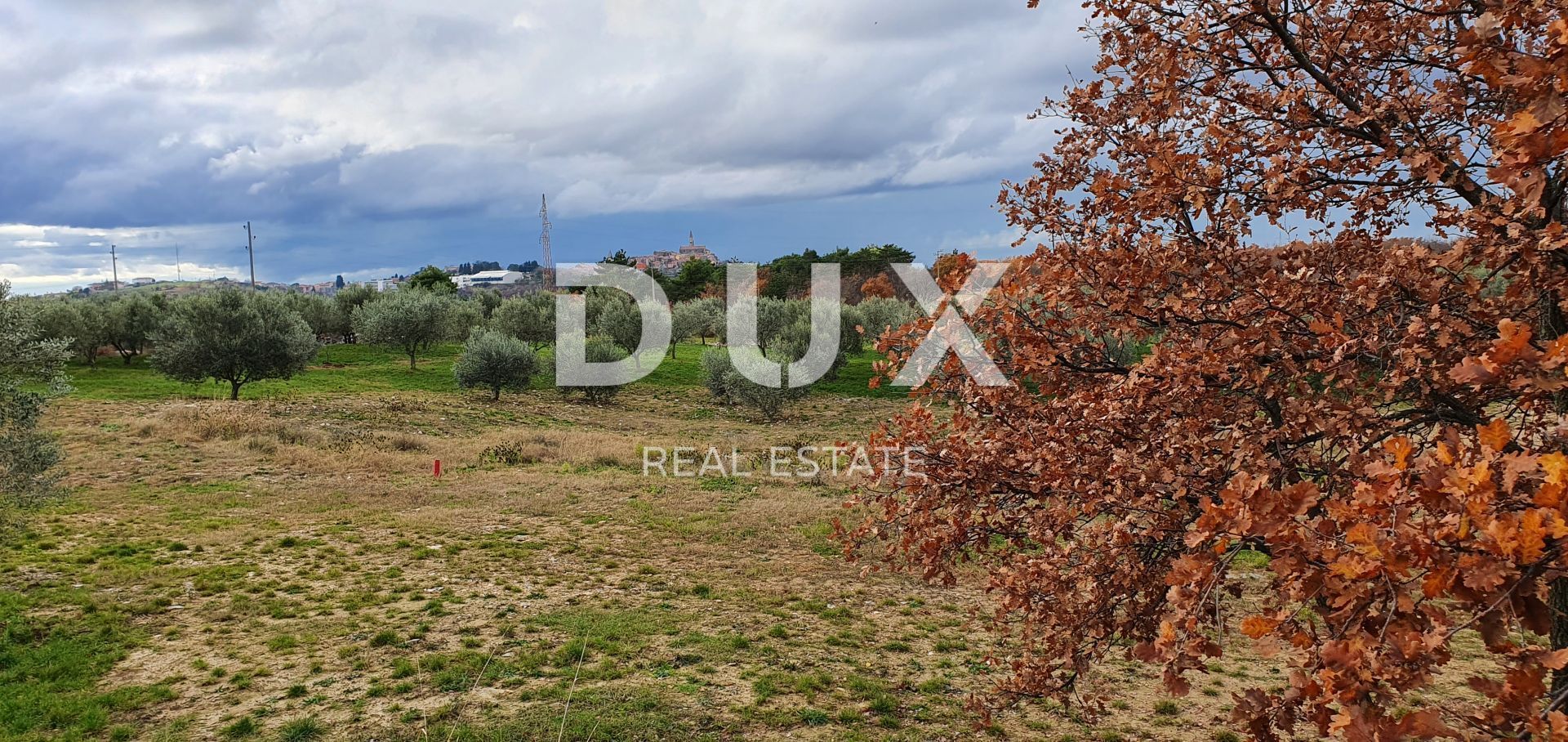 Land in Buje, Istria County 12846539