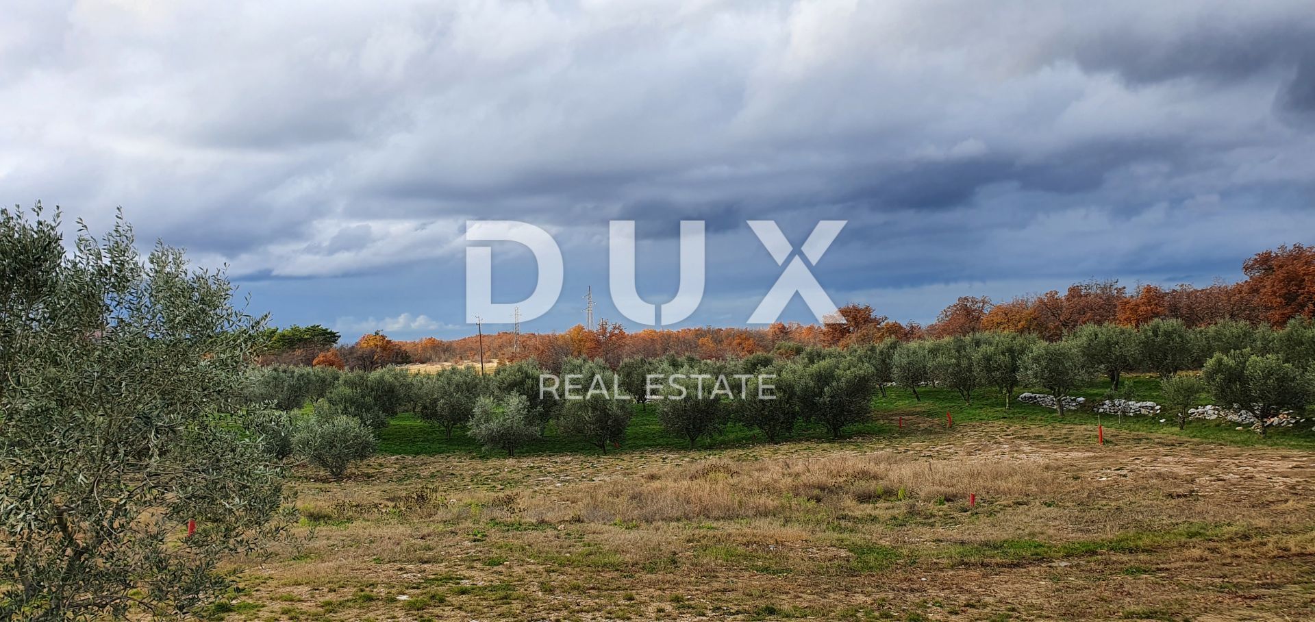 Land in Buje, Istria County 12846539