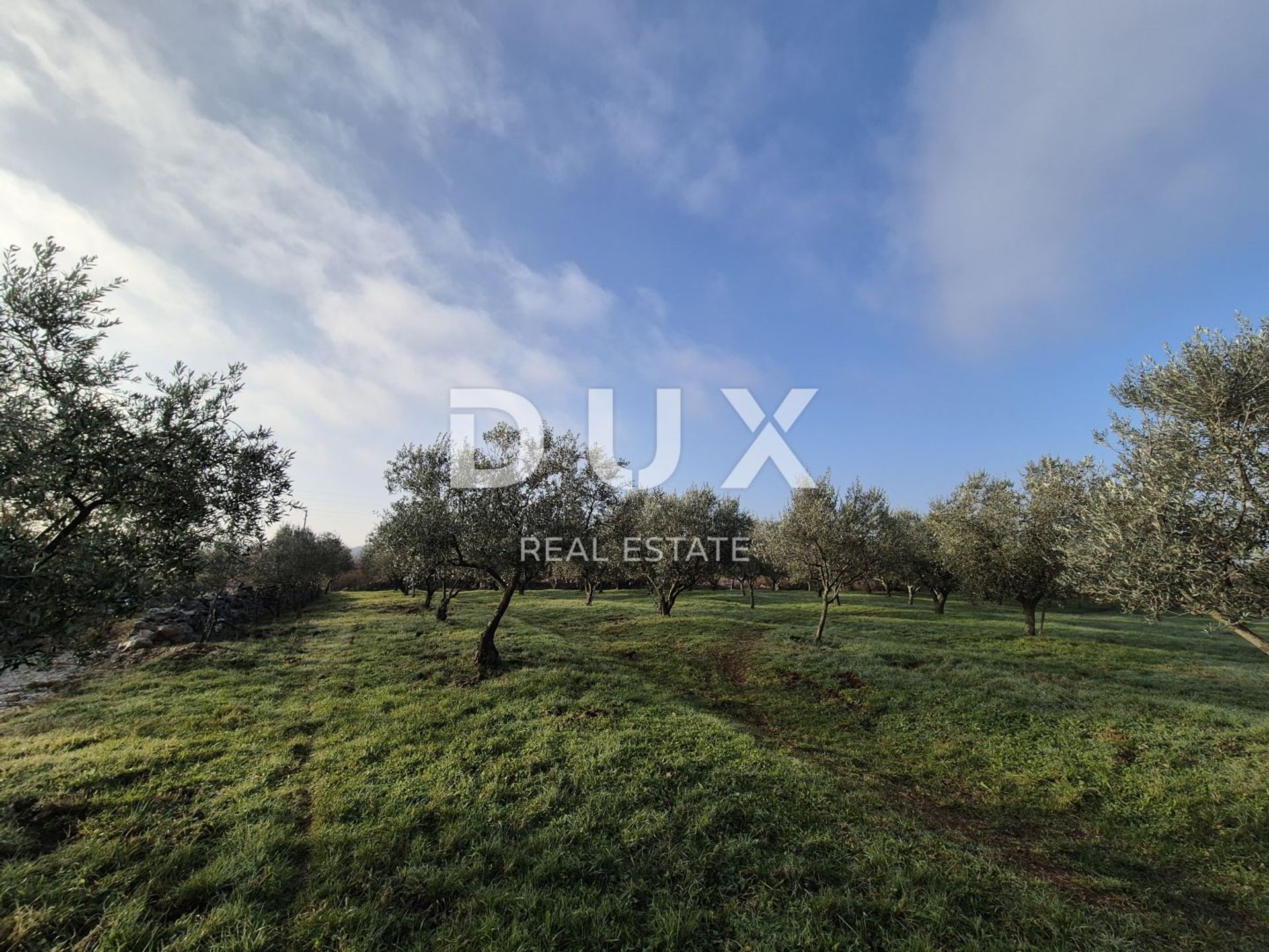 Land in Buje, Istria County 12846539