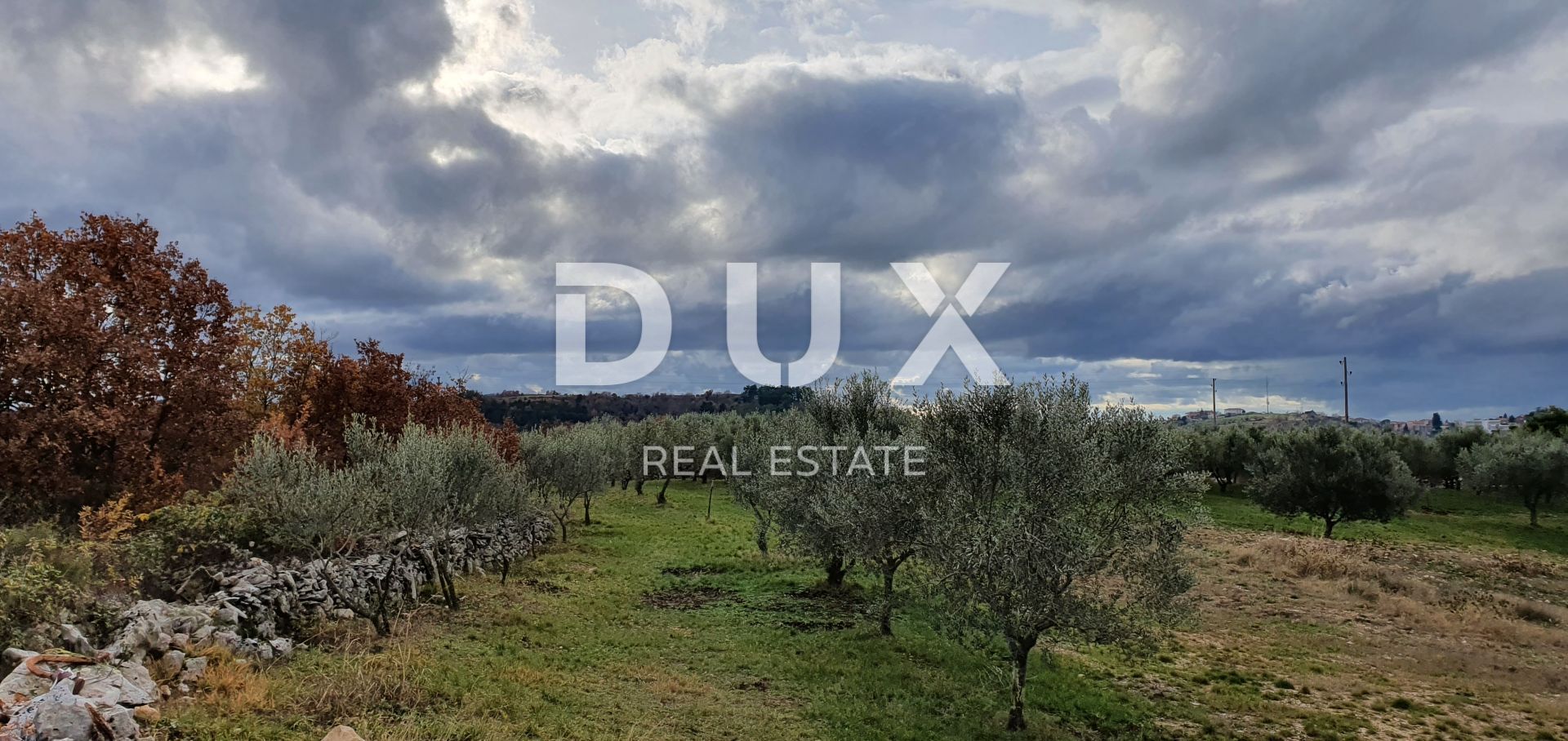 Land in Buje, Istria County 12846539