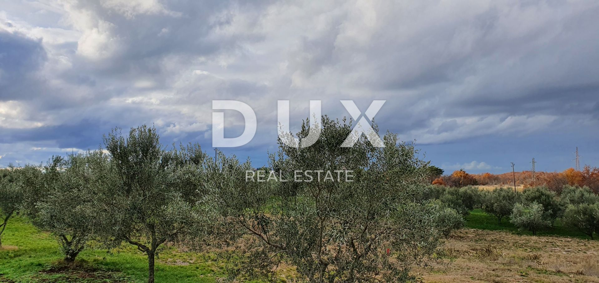 Land in Buje, Istria County 12846539