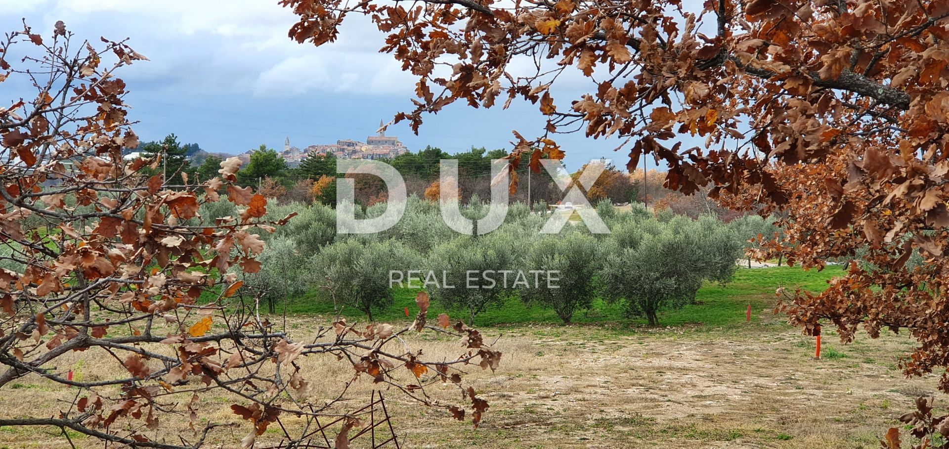 Land in Buje, Istria County 12846539