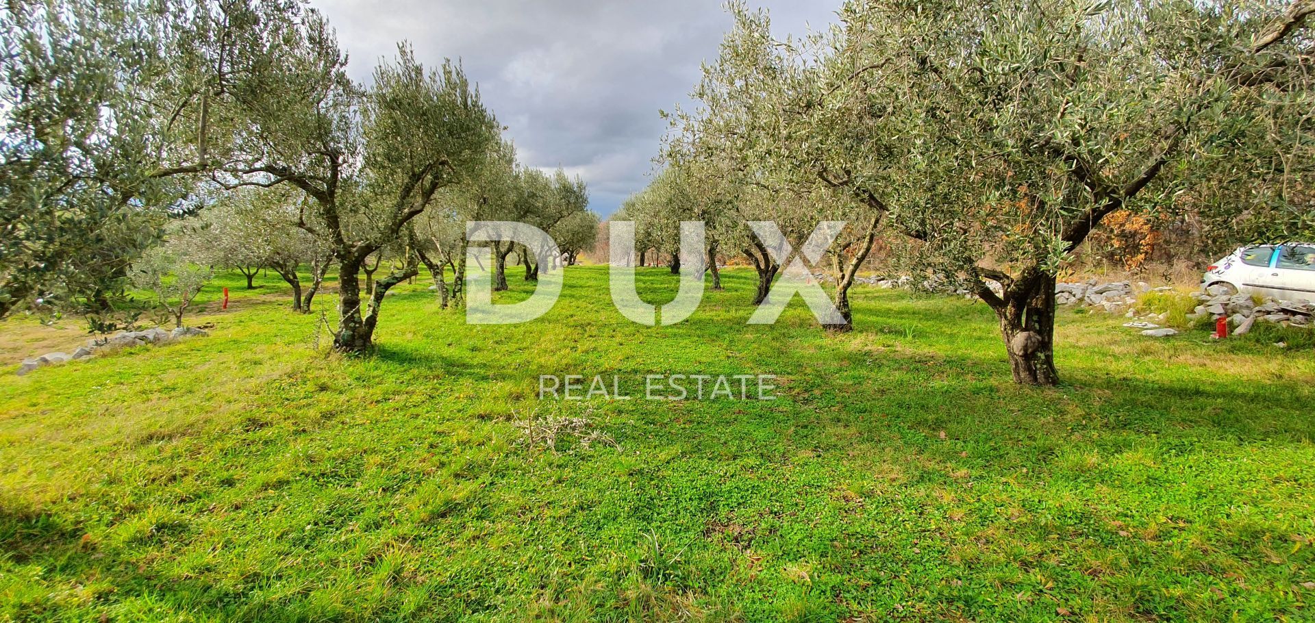 Land in Buje, Istria County 12846539