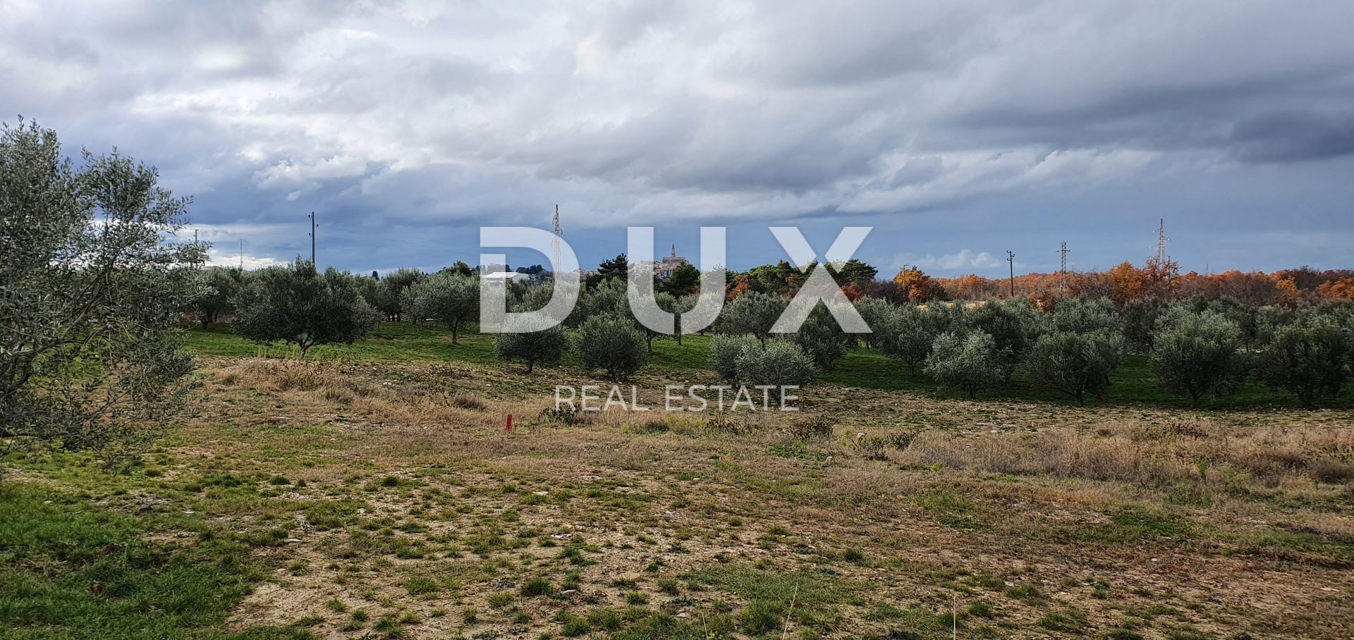 Land in Buje, Istria County 12846539