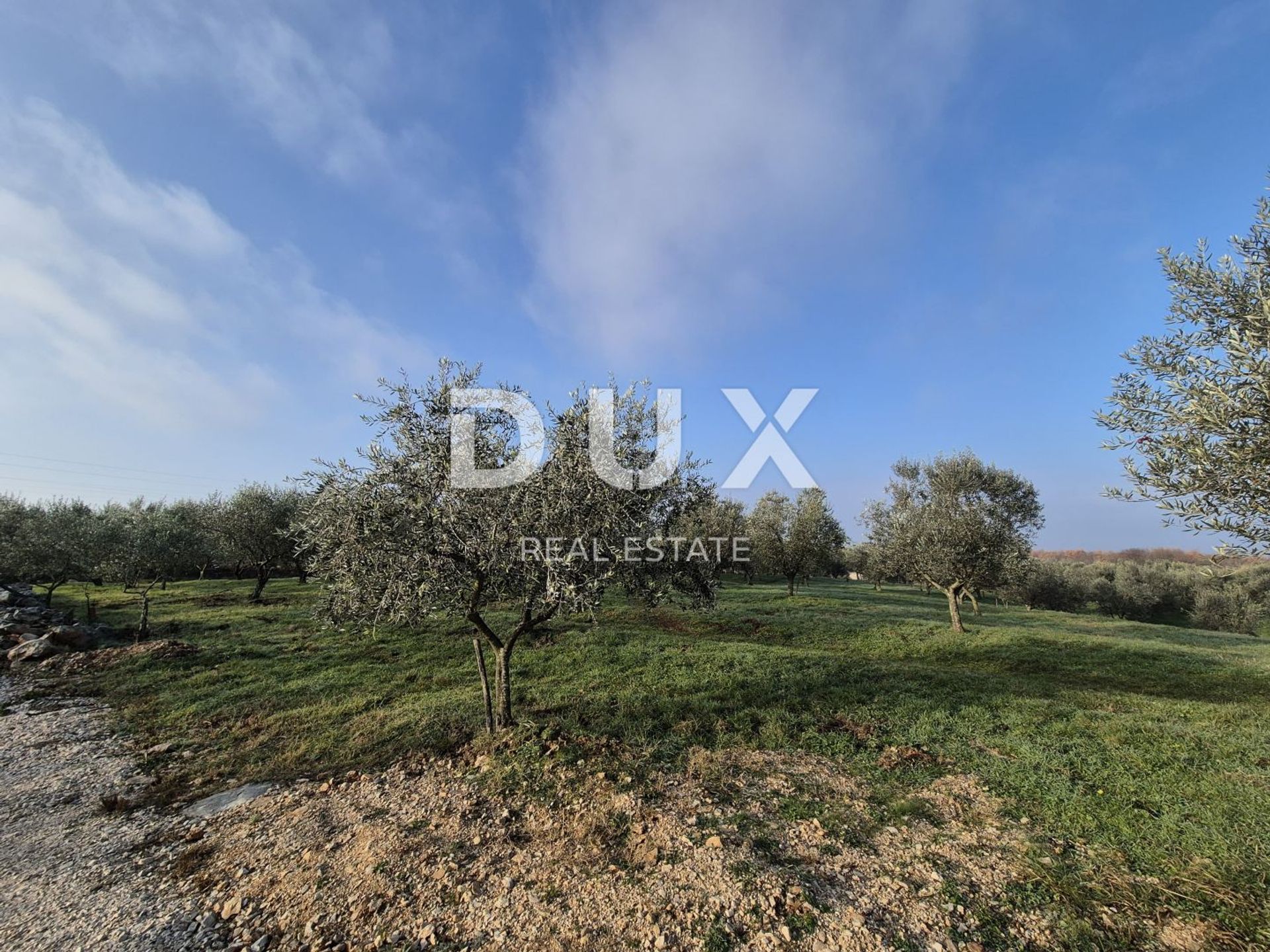 Land in Buje, Istria County 12846539