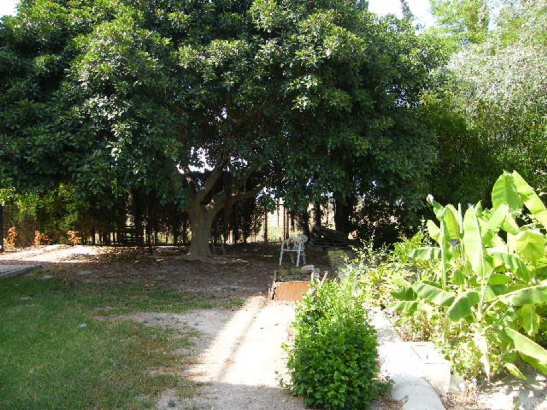 House in Daya Nueva, Valencian Community 12846892