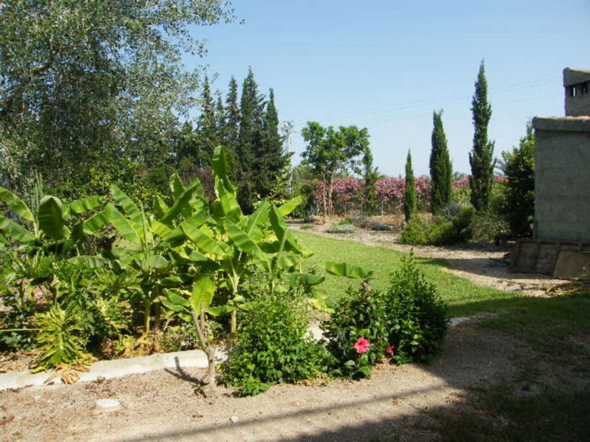 House in Daya Nueva, Valencian Community 12846892