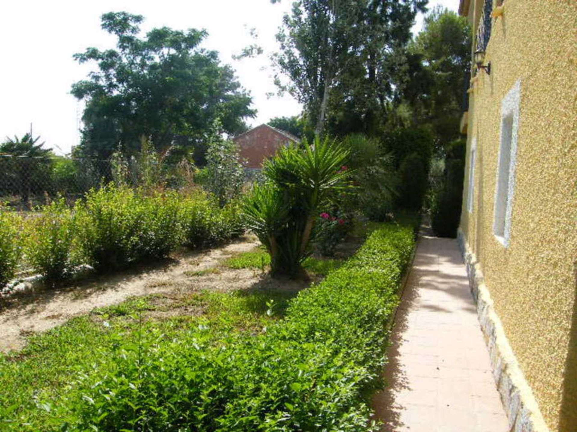 House in Daya Nueva, Valencian Community 12846892