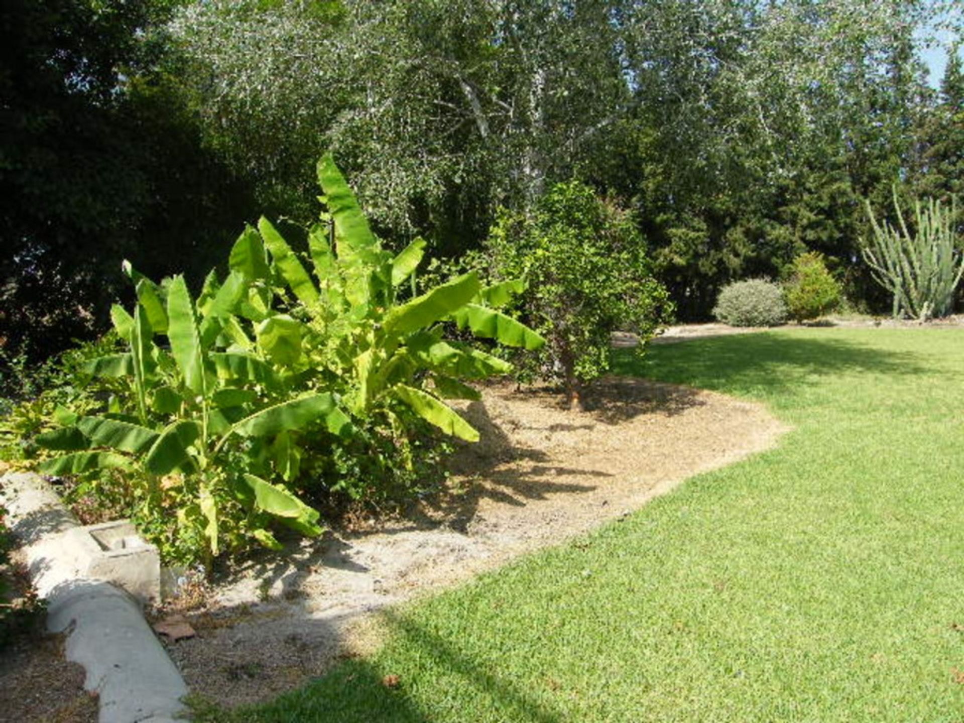 House in Daya Nueva, Valencian Community 12846892