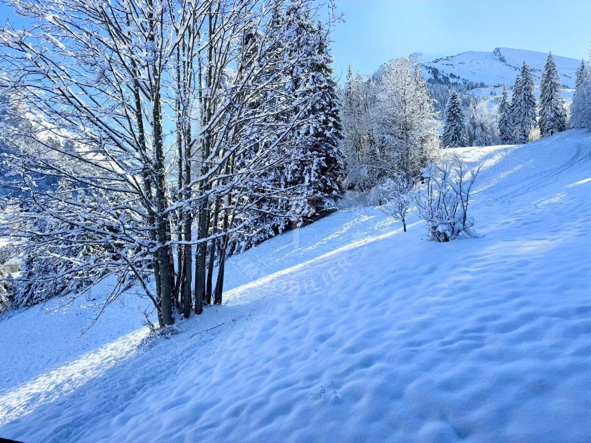 House in La Clusaz, Haute-Savoie 12847108