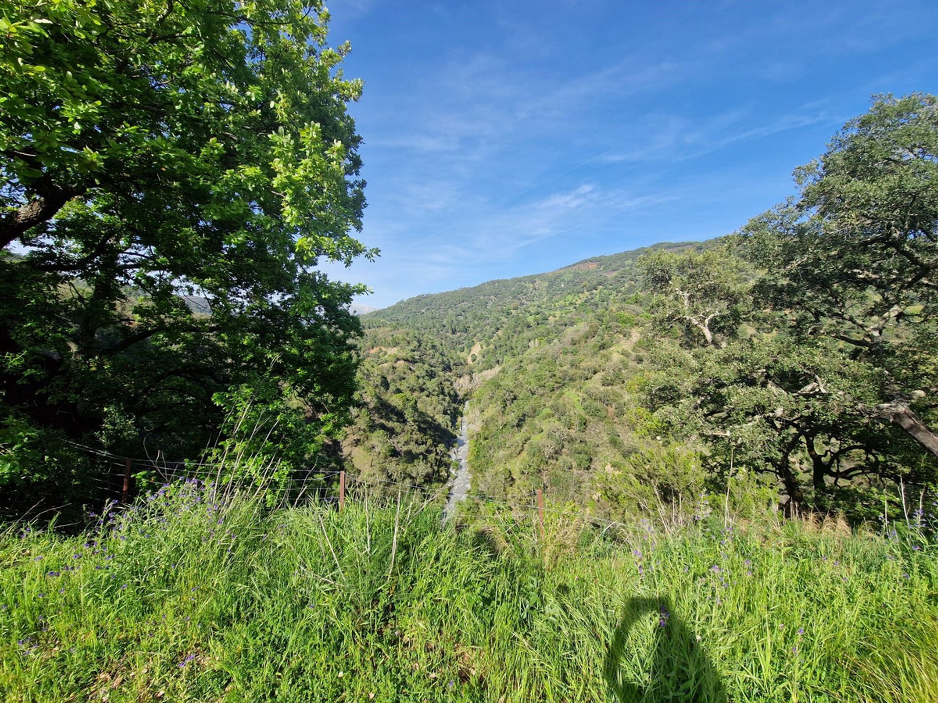 Land in Algatocine, Andalusië 12847268