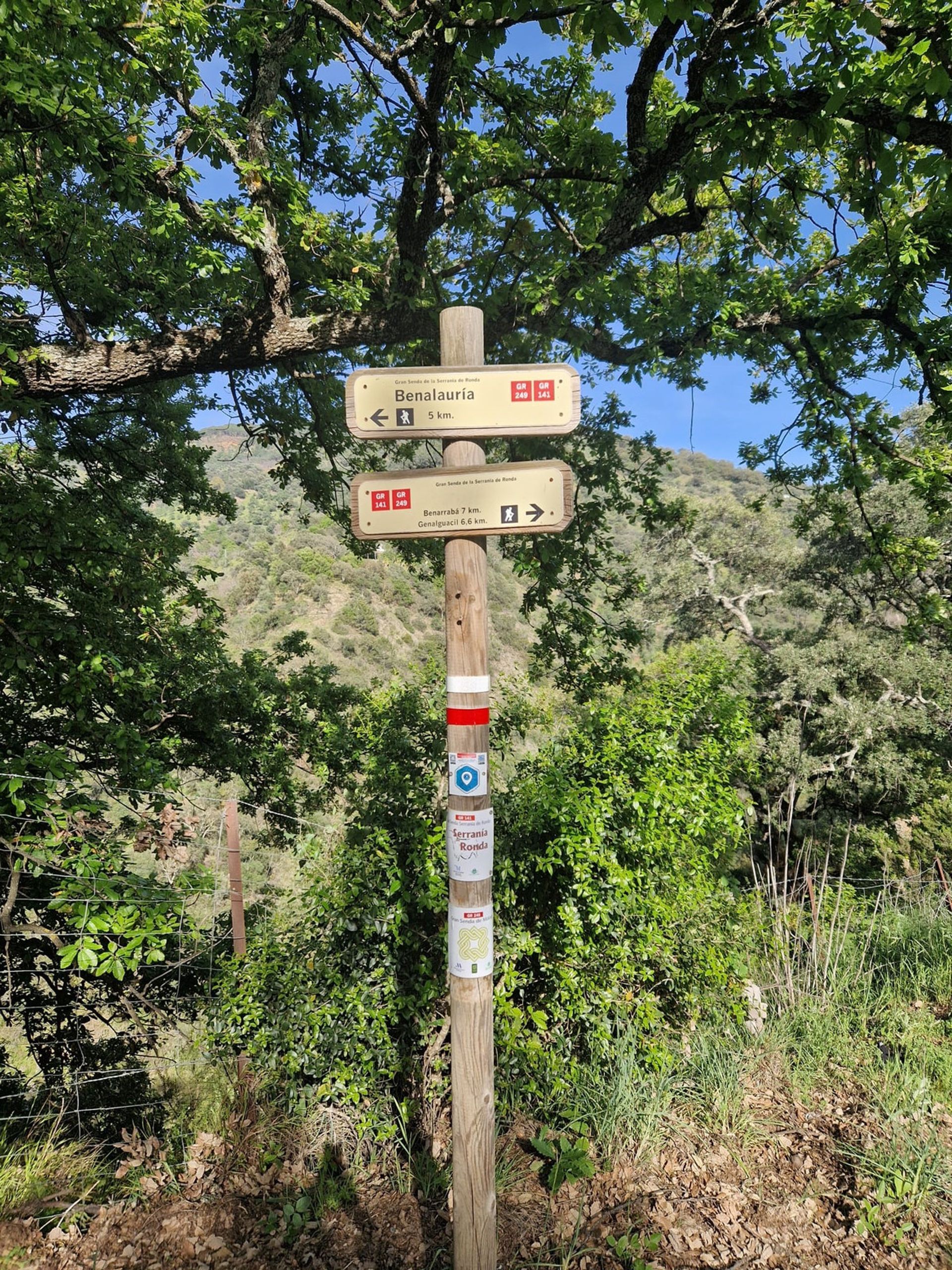 Land in Algatocine, Andalusië 12847268