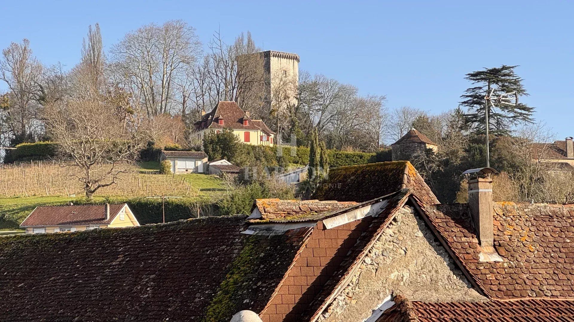 Muu sisään Orthez, Nouvelle-Aquitaine 12848196