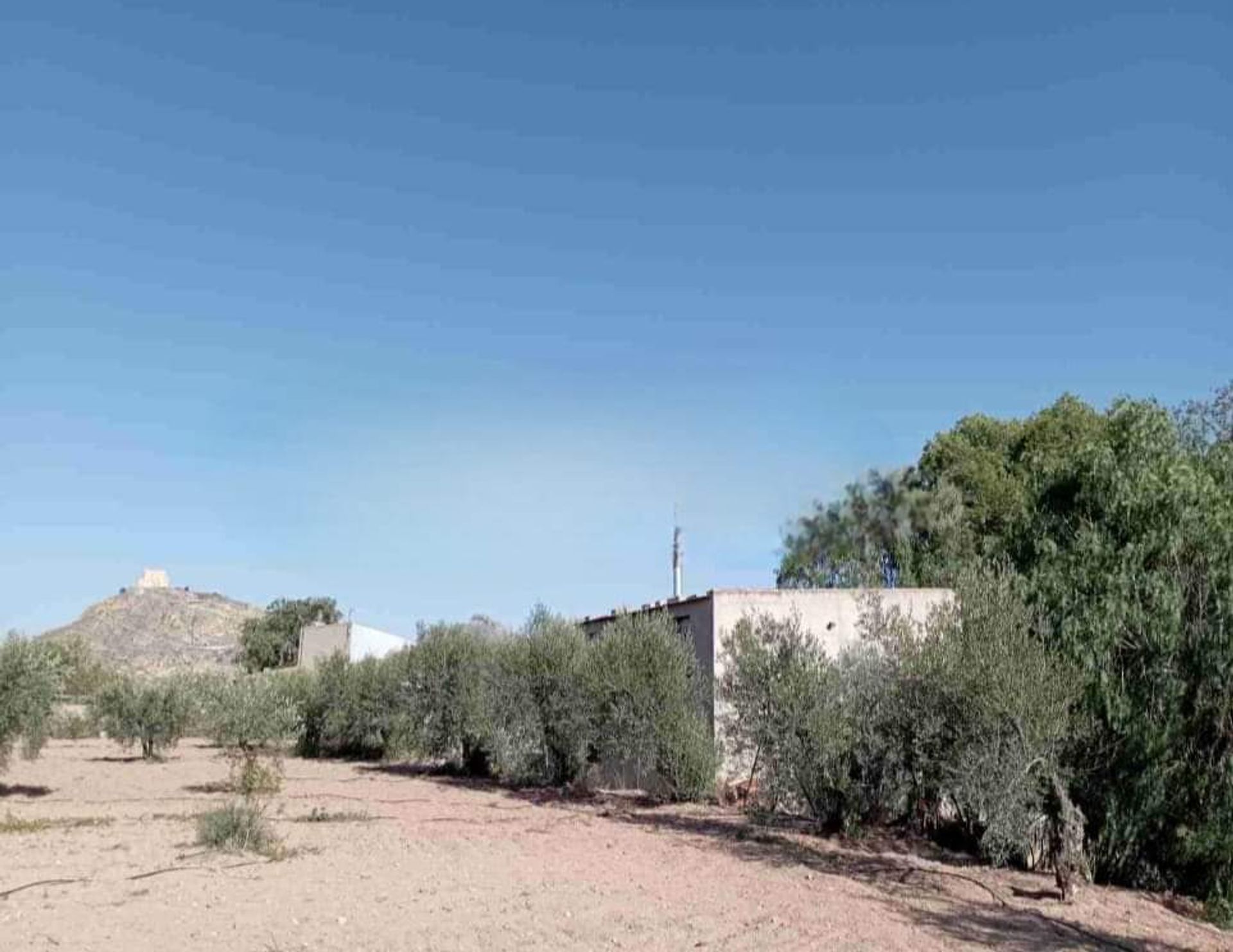 Huis in Jumilla, Región de Murcia 12848703