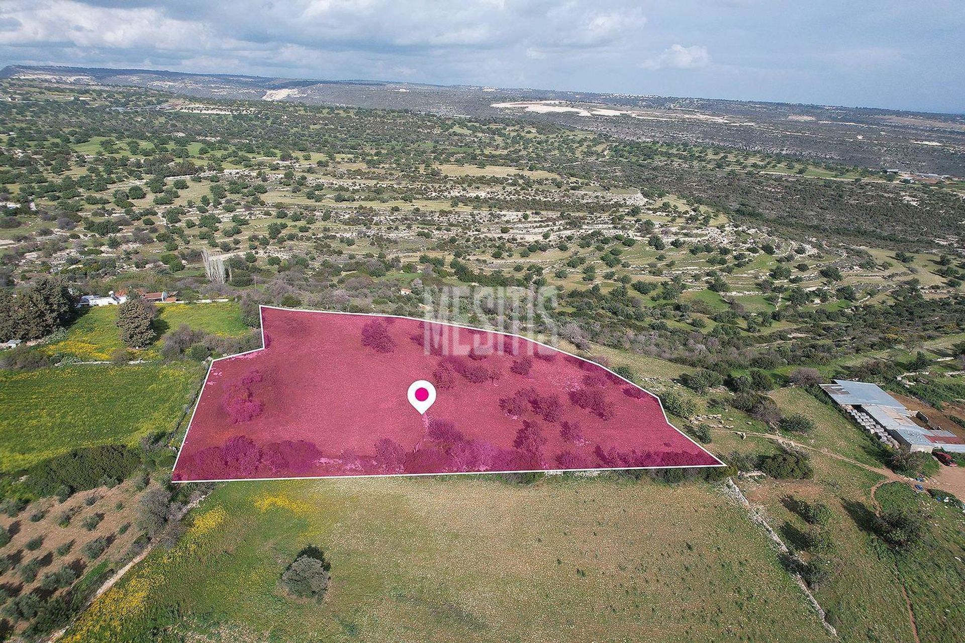 Land i Pampoula, Lemesos 12849455