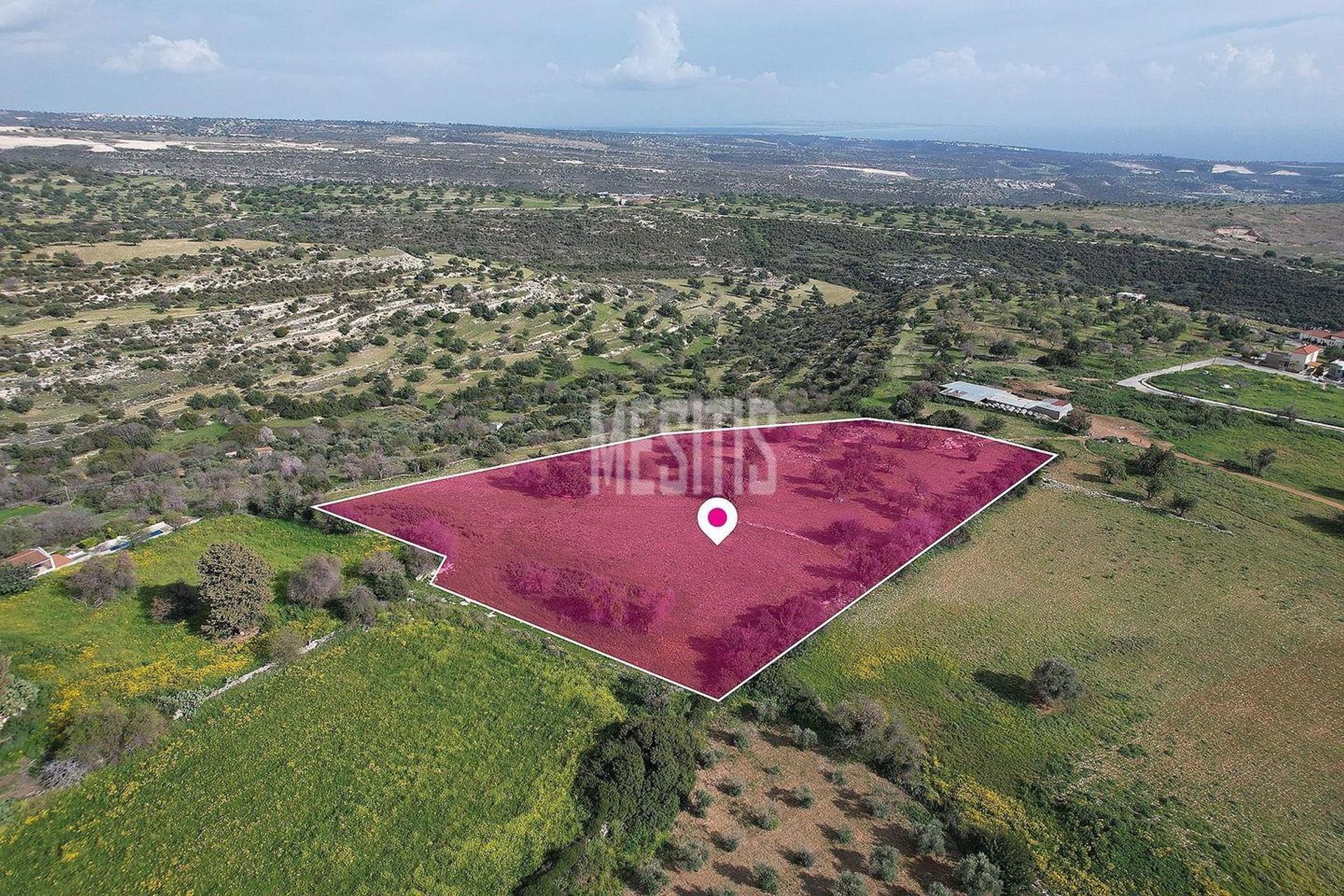 Land i Pampoula, Lemesos 12849455