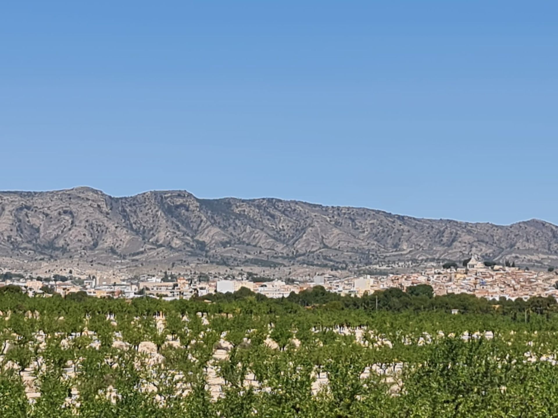 Huis in Monòver, Comunidad Valenciana 12849993