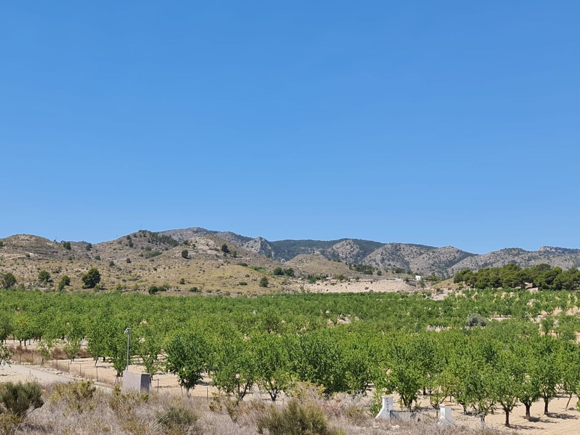 Huis in Monòver, Comunidad Valenciana 12849993